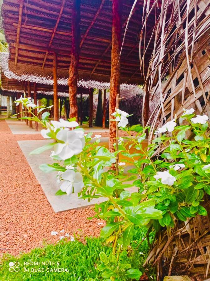Manel Villa Bentota Extérieur photo